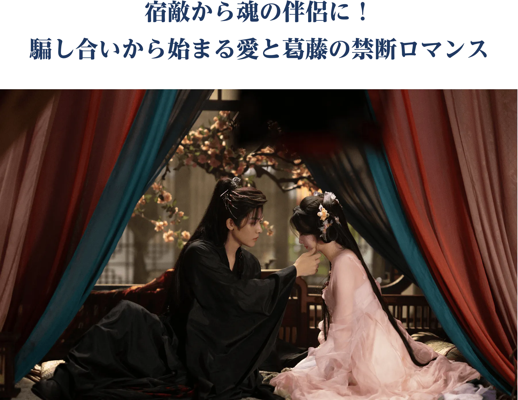 宿敵から魂の伴侶に!騙し合いから始まる愛と葛藤の禁断ロマンス | 入青雲|衛星劇場