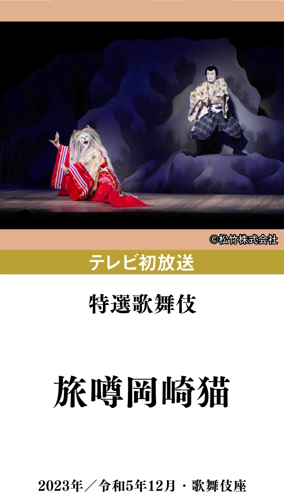 特選歌舞伎『旅噂岡崎猫』 | 「歌舞伎ラインナップ」特設サイト|衛星劇場