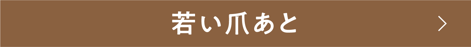 若い爪あと | 「小西康陽の名画座の最前列で。」特設サイト|衛星劇場