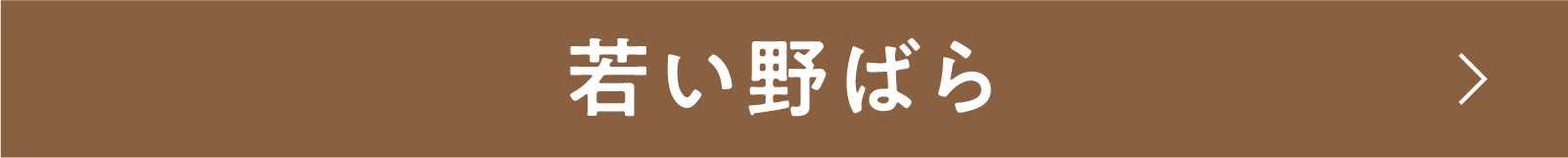 若い野ばら | 「小西康陽の名画座の最前列で。」特設サイト|衛星劇場