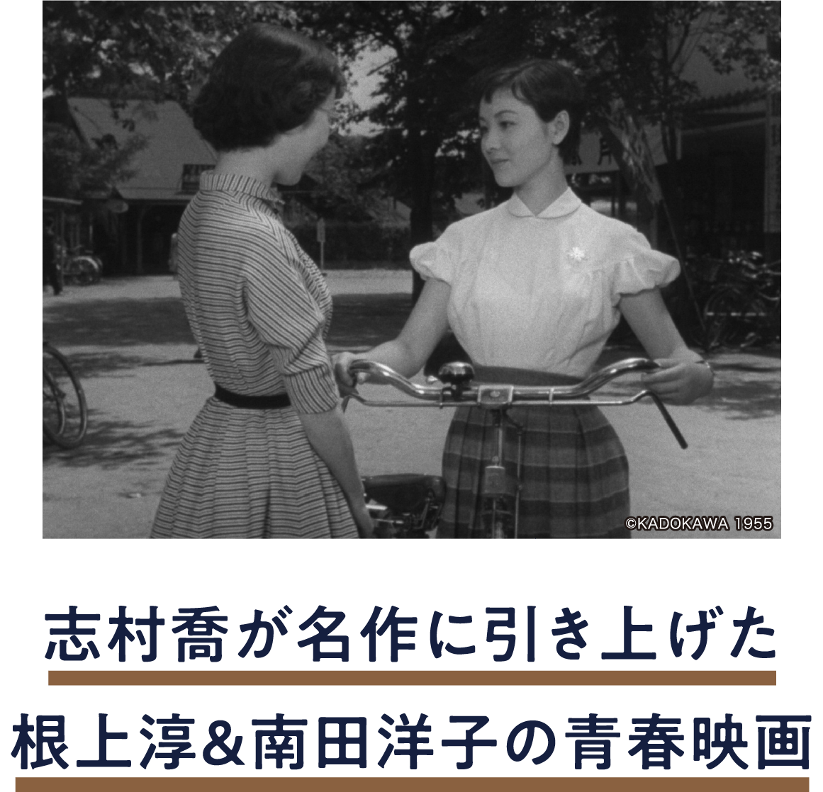 娘の人生案内 | 「小西康陽の名画座の最前列で。」特設サイト|衛星劇場