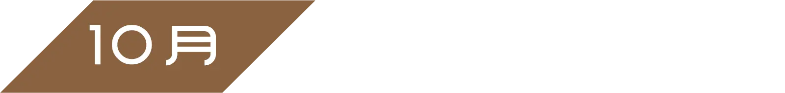 10月『妻の勲章』（桑野みゆき）『天狗倒し』（桑野通子） | 「小西康陽の名画座の最前列で。」特設サイト｜衛星劇場