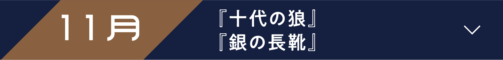 11月 『十代の狼』『銀の長靴』 | 「小西康陽の名画座の最前列で。」特設サイト|衛星劇場
