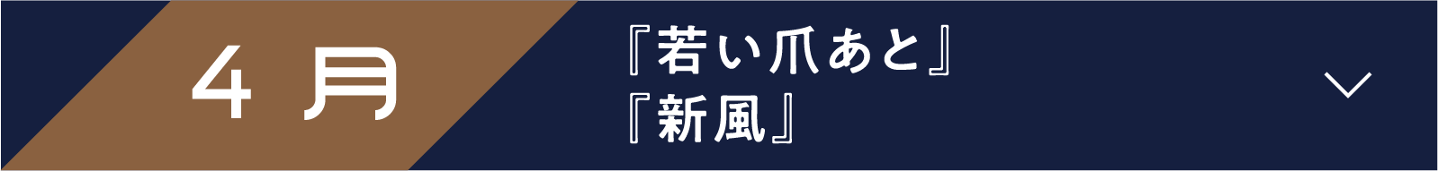 4月 『若い爪あと』『新風』 | 「小西康陽の名画座の最前列で。」特設サイト|衛星劇場