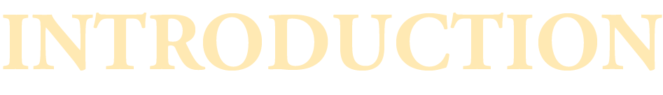 INTRODUCTION | 無憂渡~瞳に映った真実の愛~|衛星劇場